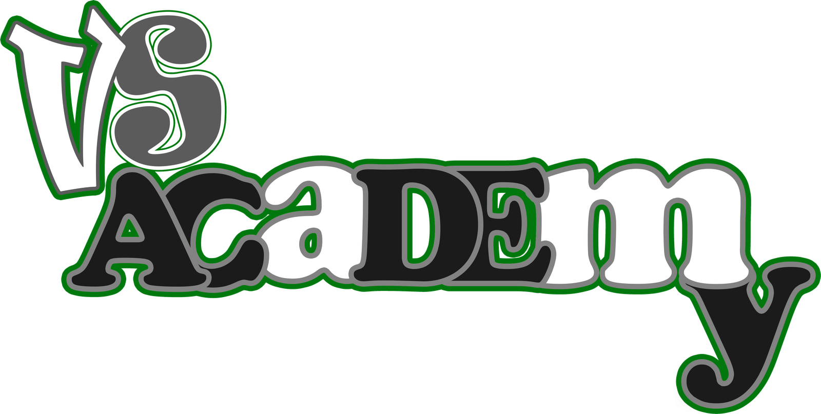 VS Academy